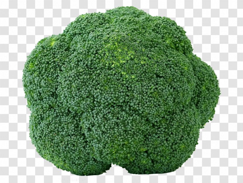 Broccoli Cabbage Cauliflower Brussels Sprout Vegetable - Kale - Fresh Fruits And Vegetables,broccoli Transparent PNG