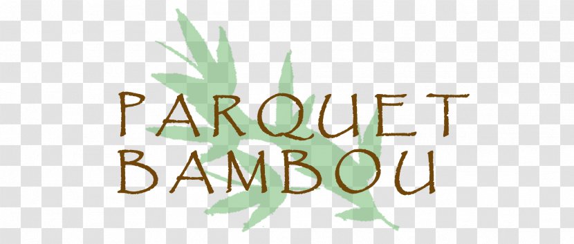 Logo Brand Font - Green - Bambou Transparent PNG