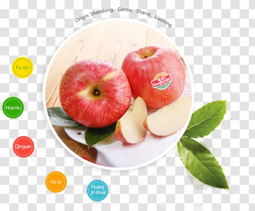 Apple Qixia, Shandong Organic Food Fuji - Holding Company Transparent PNG