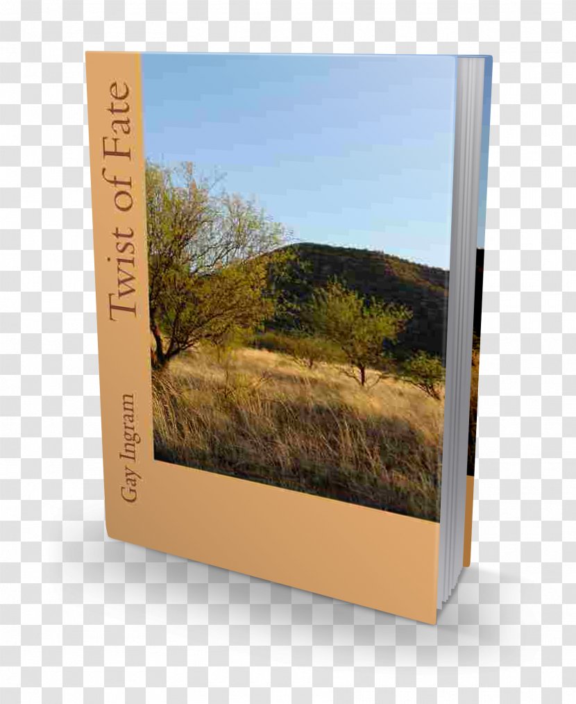 Twist Of Fate Paperback Book Picture Frames Transparent PNG