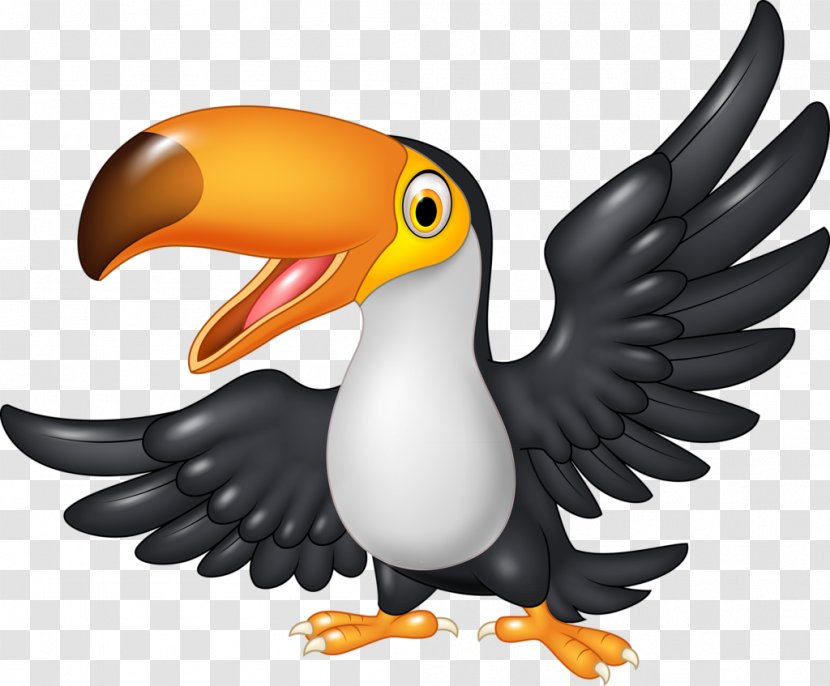 Cartoon Toucan - Hornbill - Tucano Transparent PNG