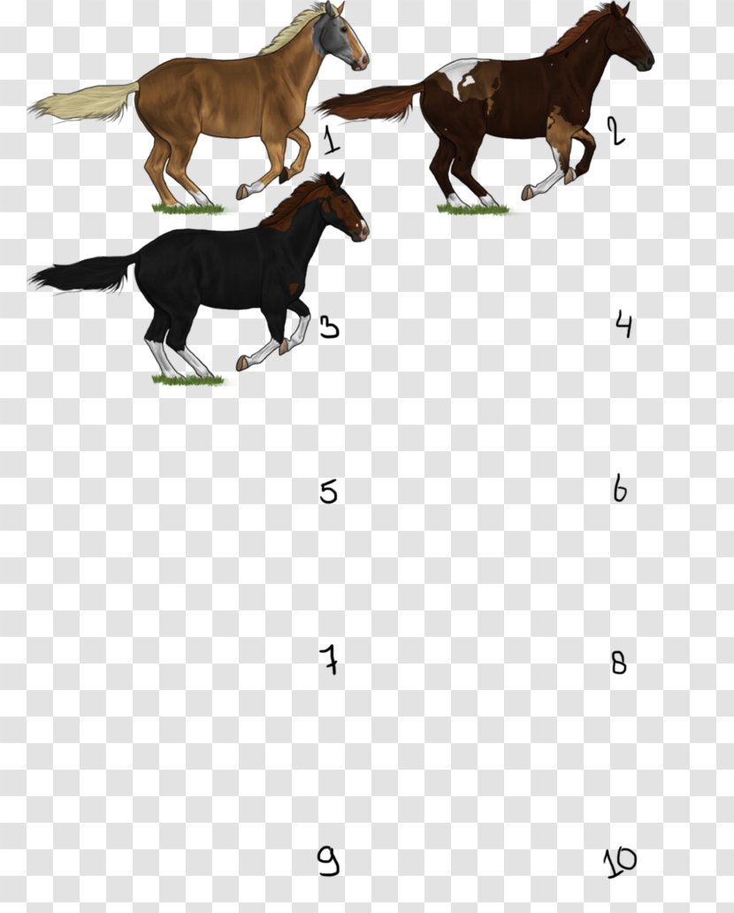 Mustang Foal Stallion Colt Pony - Pack Animal - Chimera Transparent PNG
