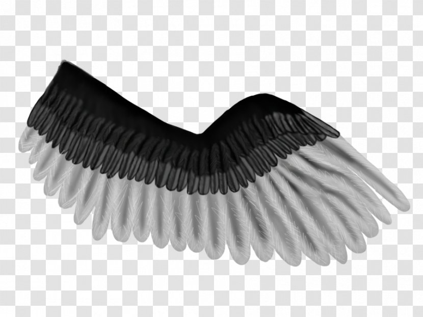 Brush Eyelash - Pegasus Wing Transparent PNG