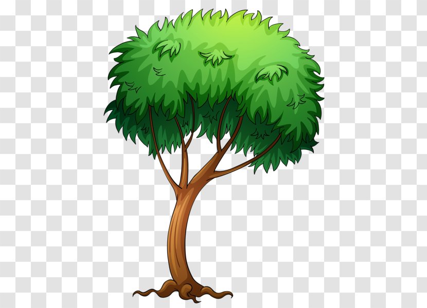 Tree Clip Art - Painting - TREE CARTOON Transparent PNG