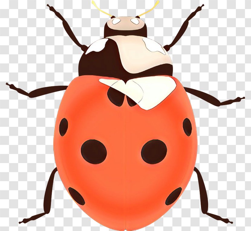 Ladybug - Cartoon - Blister Beetles Leaf Beetle Transparent PNG