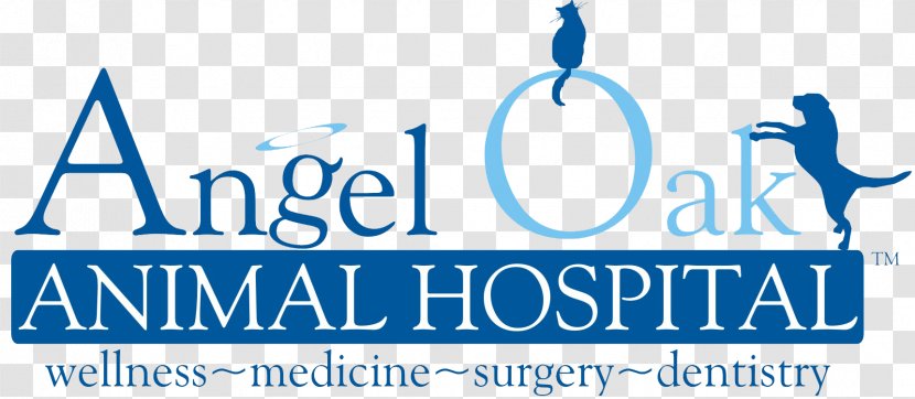 Angel Oak Animal Hospital Inc Dentistry Dental Antibiotic Prophylaxis Anesthesia Tooth Pathology - Anesthetic - Maybank Logo Transparent PNG