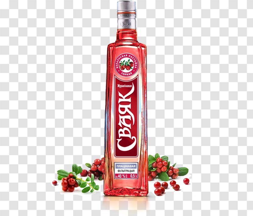 Liqueur Vodka Trademark Marketing Pomegranate Juice Transparent PNG