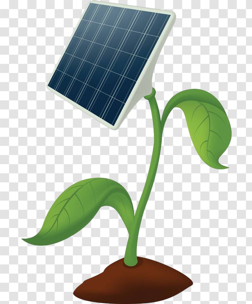 Solar Energy Power Panel Photovoltaics Photovoltaic Station - Plants Transparent PNG