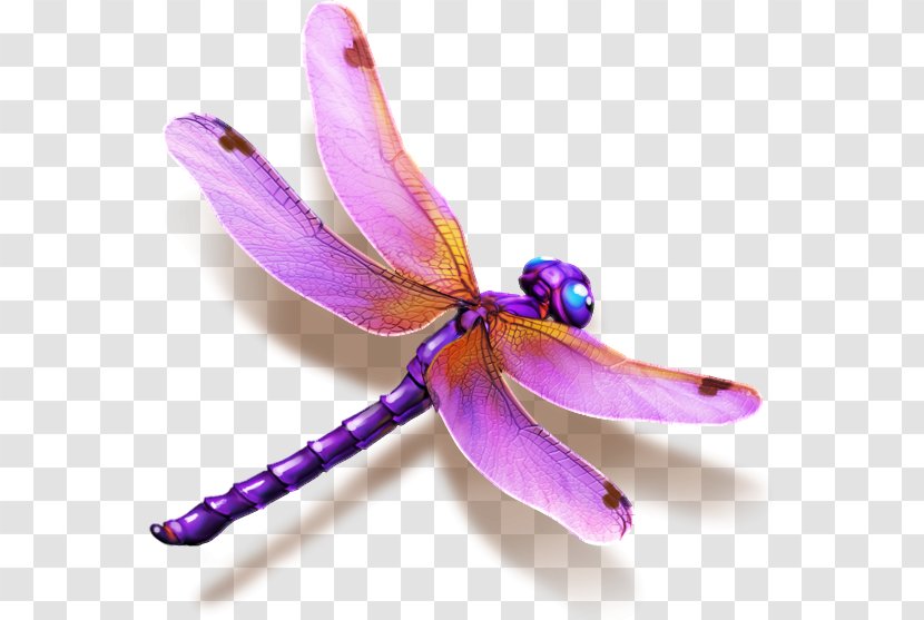 Shangri-La Hotels And Resorts Dragonfly Business - Membrane Winged Insect - Dragonflies Damseflies Transparent PNG