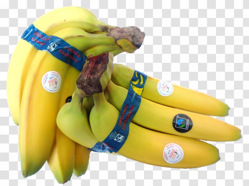 Banana Equifruit, Inc. Fairtrade Certification Fair Trade - Cartoon - Double Eleven Discount Transparent PNG