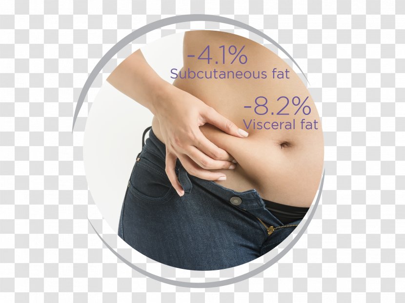 Dubai Health Authority Obesity Overweight Weight Gain Transparent PNG