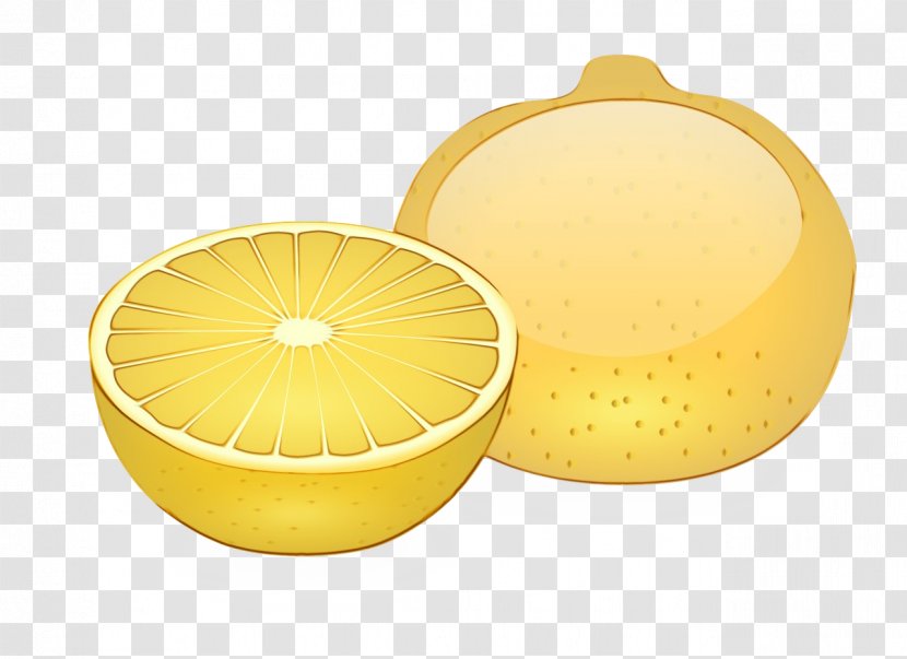 Lemon Grapefruit Citric Acid Yellow Design - Wet Ink - Orange Serveware Transparent PNG