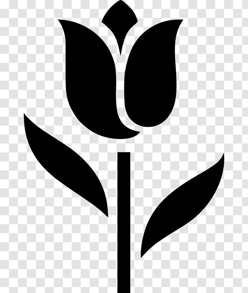 Indira Gandhi Memorial Tulip Garden Clip Art - Tree Transparent PNG