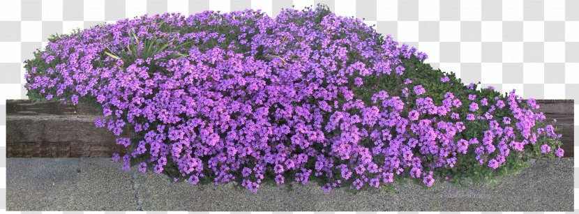 Flower Garden - Shrub - GARDEN Transparent PNG