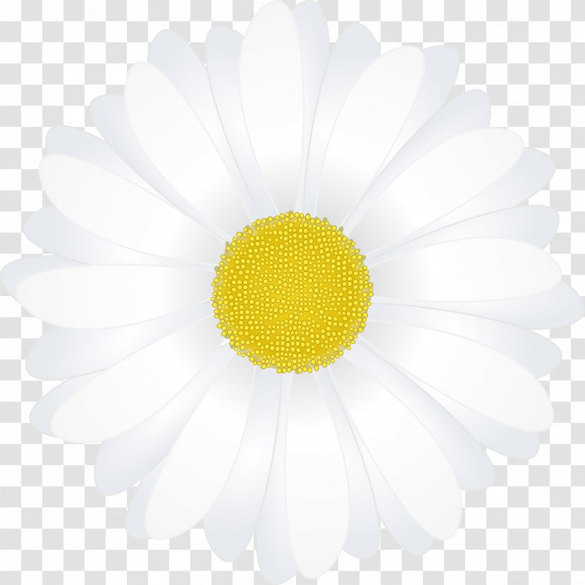Paper Common Daisy Drawing Oxeye - Chamomile Transparent PNG