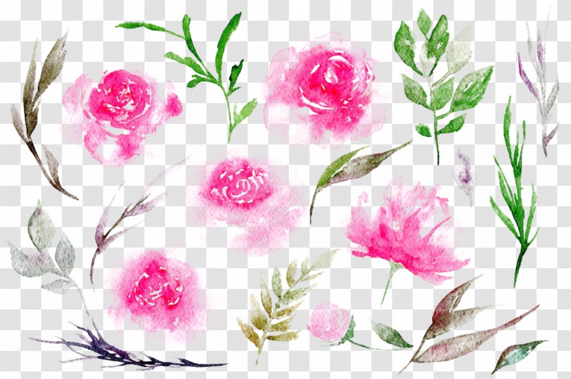 Watercolour Flowers Peony Clip Art Transparent PNG