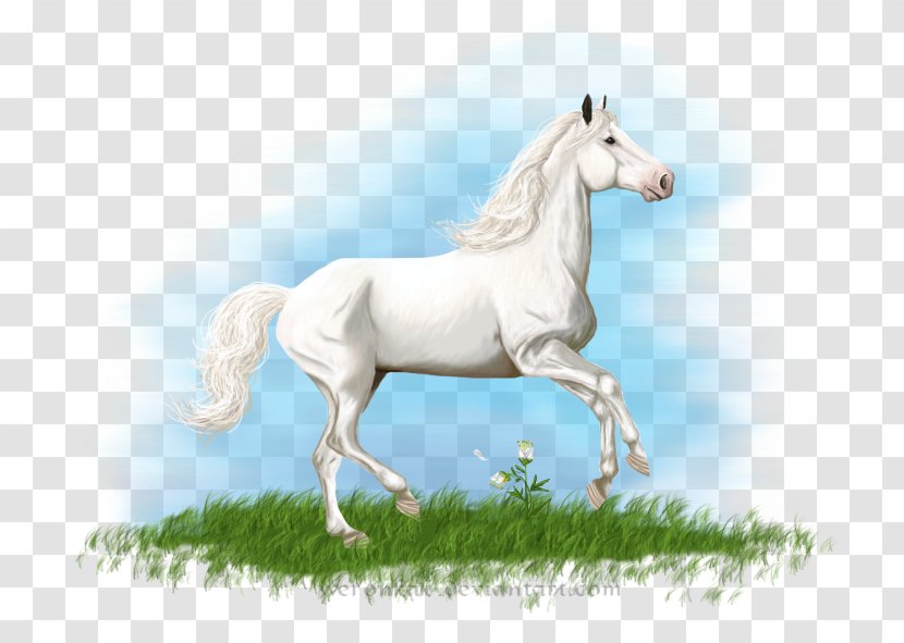 Arabian Horse American Paint Howrse Shire French Trotter - Tobiano - White Transparent PNG