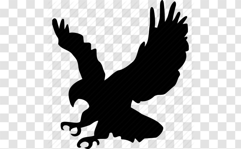 Bald Eagle Bird Golden Clip Art - Tree - Icon Free Vectors Download Transparent PNG