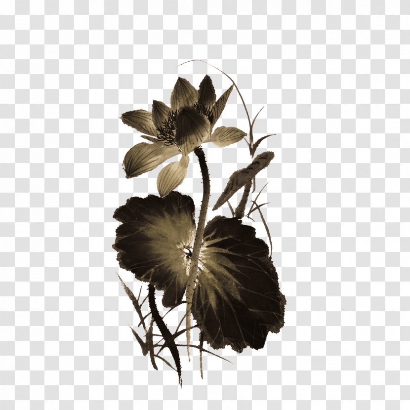China Common Carp Chinoiserie - Flower - Lotus Transparent PNG