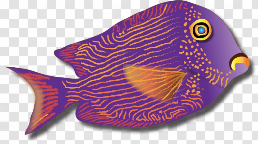 Marine Biology Fish - Organism - Purple Transparent PNG