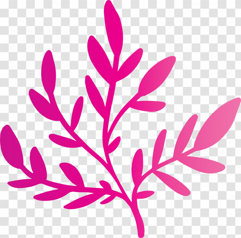 Plant Stem Twig Leaf Petal Pink M Transparent PNG