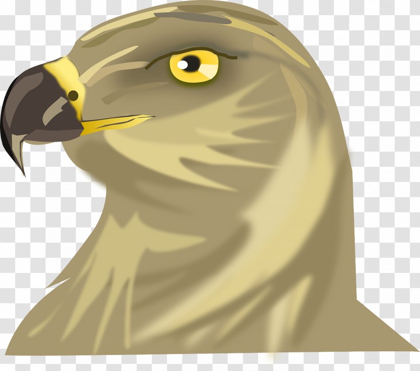 Bird Changeable Hawk-eagle Clip Art - Neck - Padlock Transparent PNG