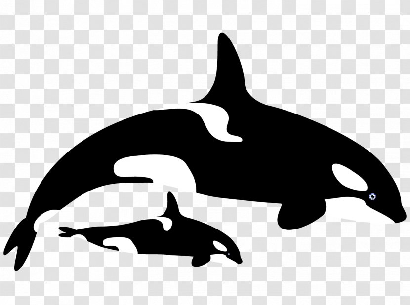 Tucuxi Common Bottlenose Dolphin Killer Whale Clip Art - Web Design - Pink Transparent PNG