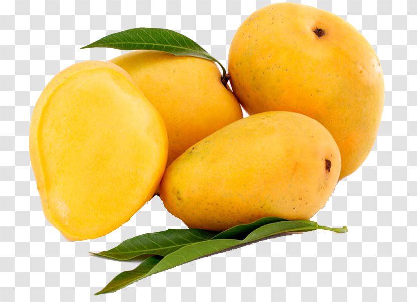 Devgad Taluka Alphonso Mangifera Indica Mango Fruit Transparent PNG