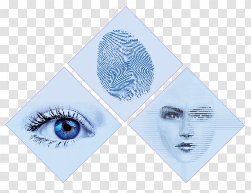 Eye Book Transparent PNG