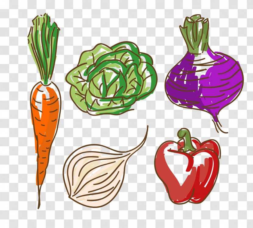 Vegetable Carrot Food Capsicum Annuum - Tree - Vector Vegetables Carrots Transparent PNG