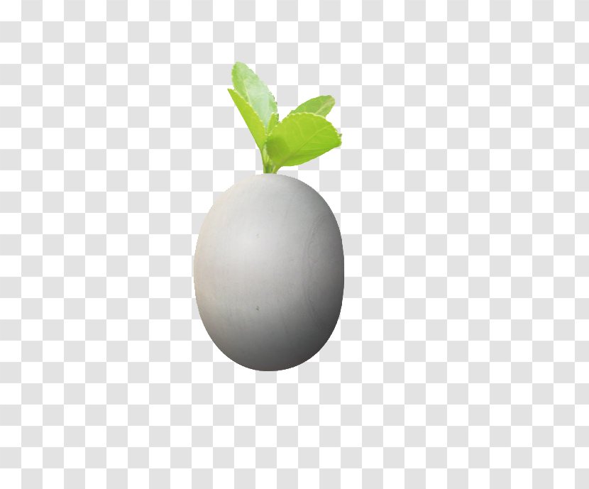 Download - Computer - Small Green Buds With Eggs Transparent PNG