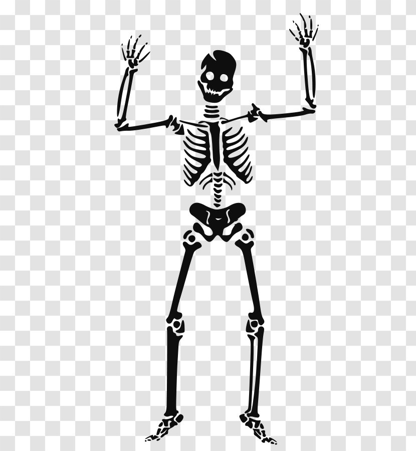Human Skeleton Skull Clip Art - Monochrome Photography - Halloween Line Transparent PNG