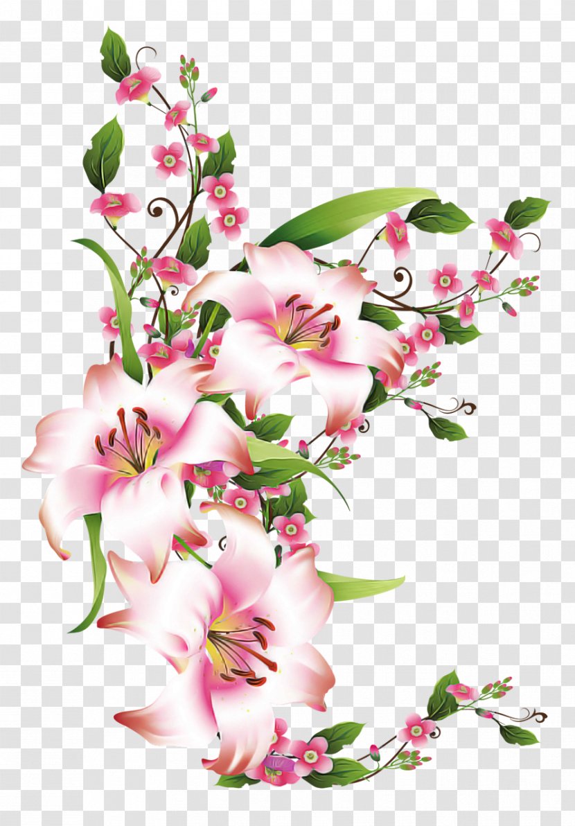 Flower Flowering Plant Pink Cut Flowers - Petal - Pedicel Bouquet Transparent PNG