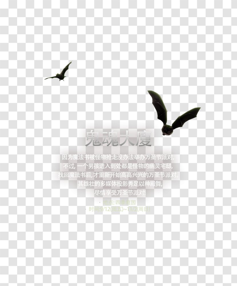 Beak Desktop Wallpaper Computer Feather Font - Bird Transparent PNG