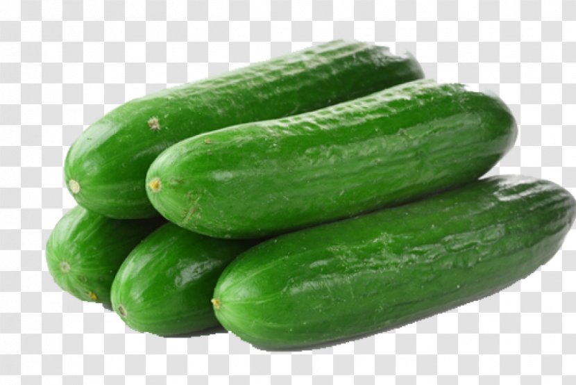 Pickled Cucumber Lebanese Cuisine Vegetable Pickling Transparent PNG
