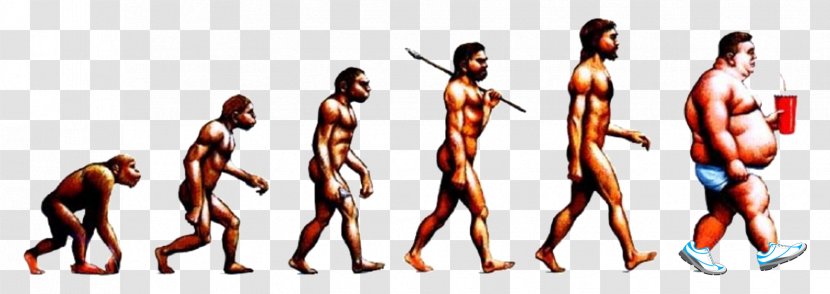 Neandertal Human Evolution Homo Sapiens Transitional Fossil - Tree - Socially Present Transparent PNG
