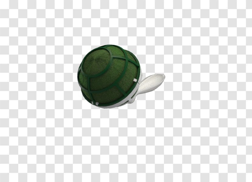 Turtle Transparent PNG