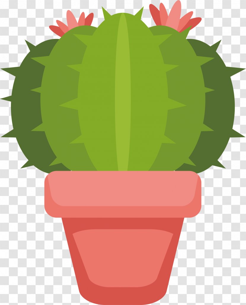 Cactaceae Peyote Euclidean Vector Flowerpot Illustration - Lophophora - The Pink Flower Pots Of Cactus Transparent PNG