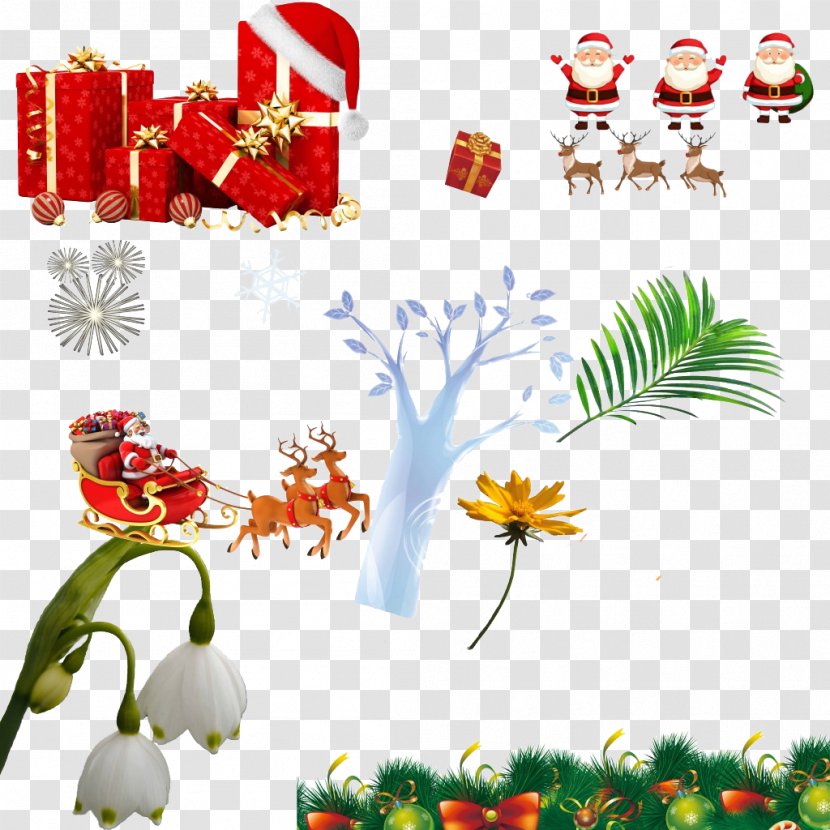 Christmas Gift And Holiday Season Family - Grass - Creative Transparent PNG