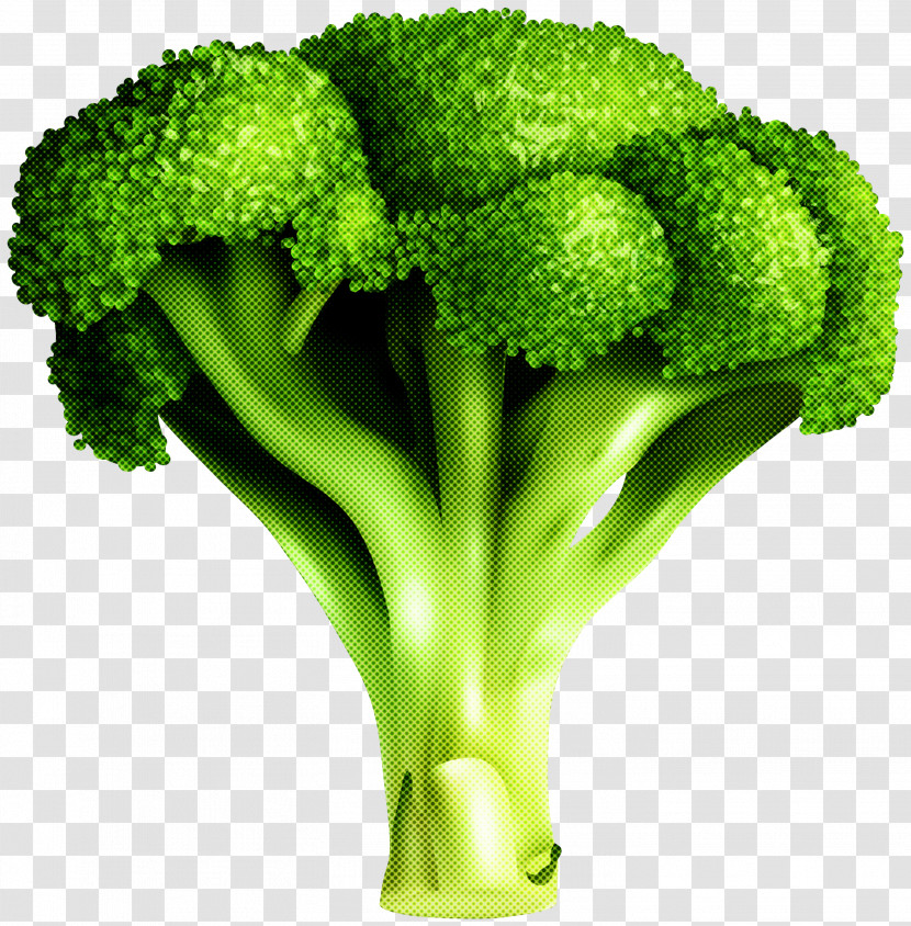 Broccoli Vegetable Leaf Vegetable Plant Superfood Transparent PNG