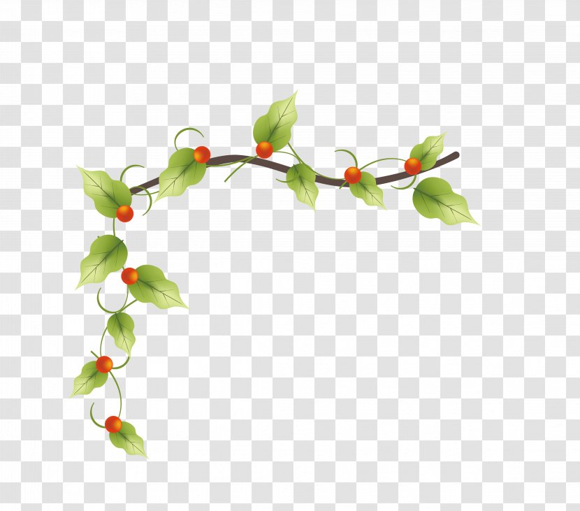 Vine Flower Plant - Flora - European-style Beautiful Green Rat Vector Transparent PNG