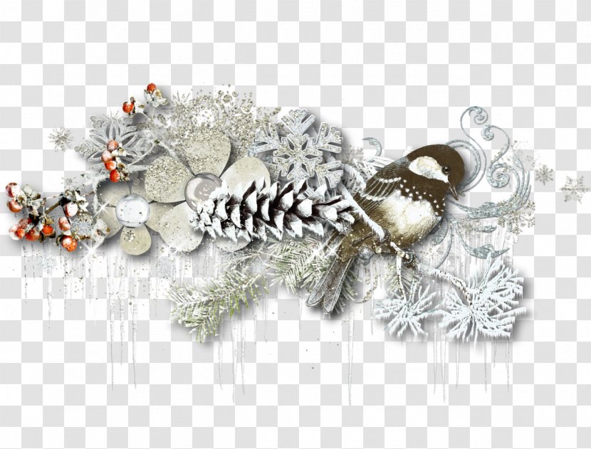 Christmas Decoration Ornament - Picture Frames - Winter Transparent PNG
