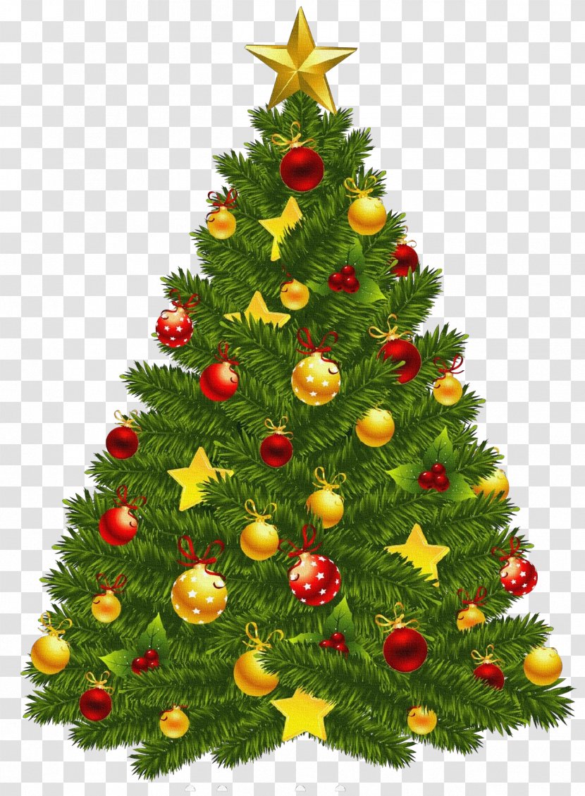 Christmas Tree - Oregon Pine - Spruce Silvertip Fir Transparent PNG