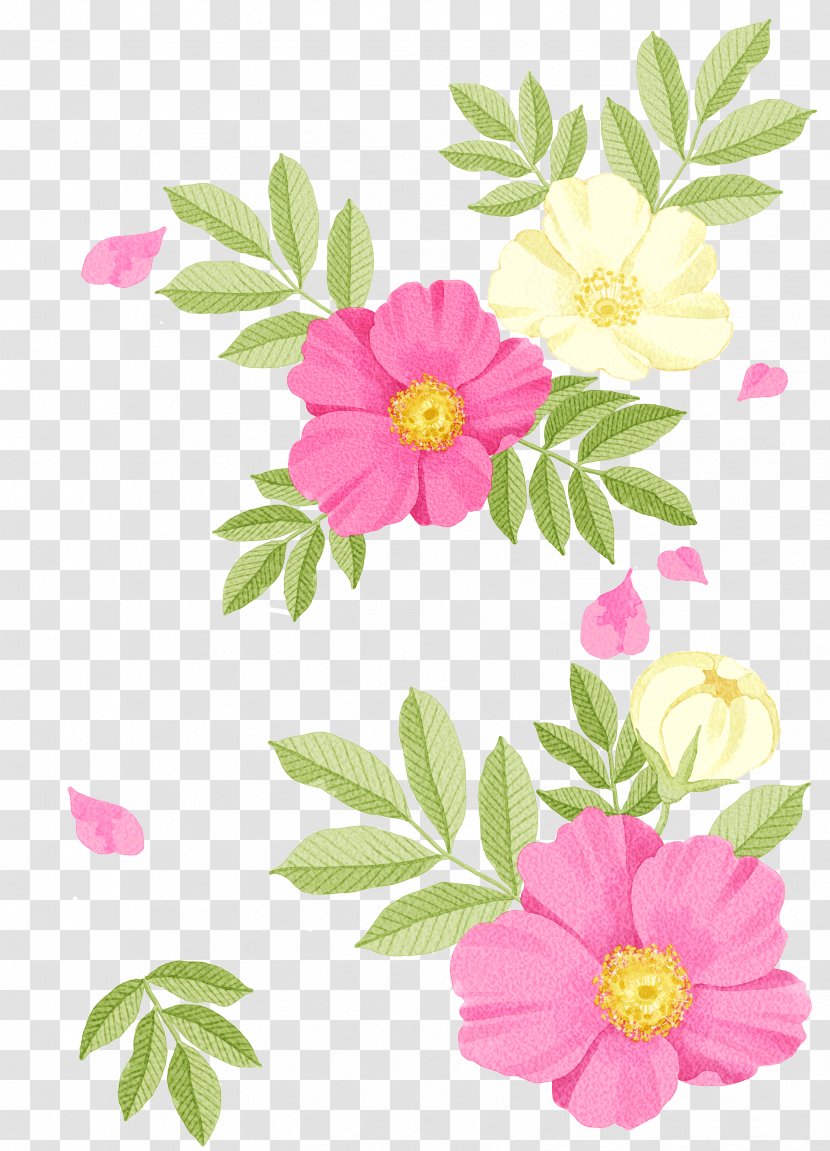 Watercolor Painting Drawing Illustration - Flora - Flowers Transparent PNG