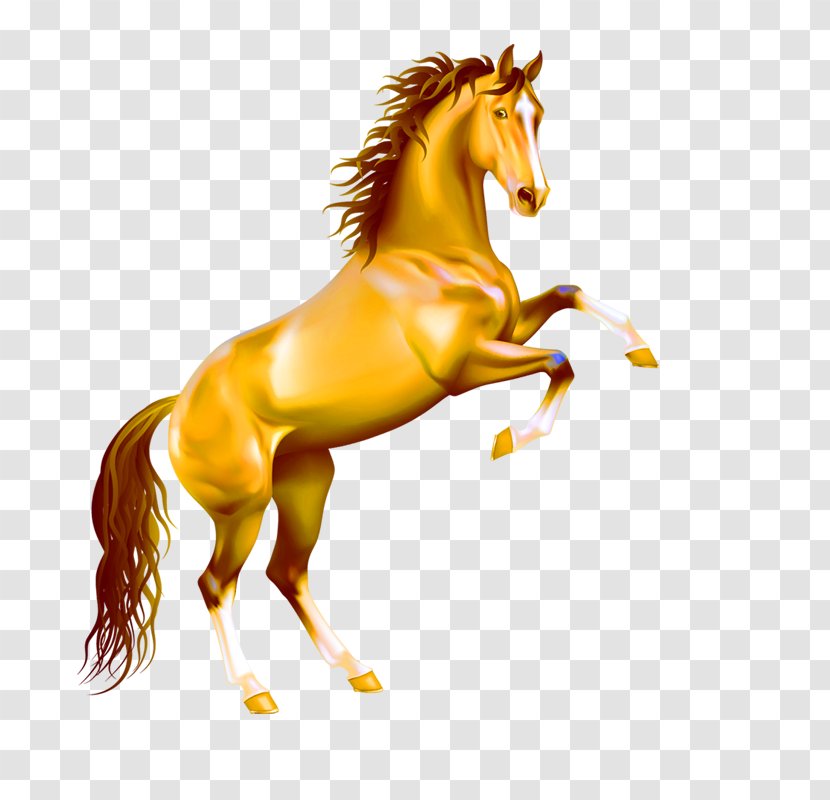 Lusitano Stallion Rearing Bay Clip Art - Pony - Running Horse Transparent PNG