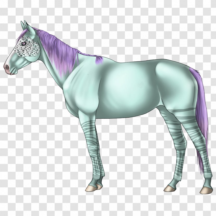 Mustang Mane Stallion Mare Pony - Horse Tack Transparent PNG