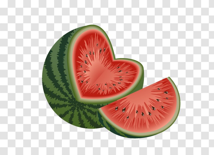 Watermelon Seedless Fruit Food - Radish Transparent PNG