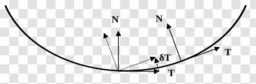 Principal Curvature Line Curve Differential Geometry - Area - Salix Alba Transparent PNG