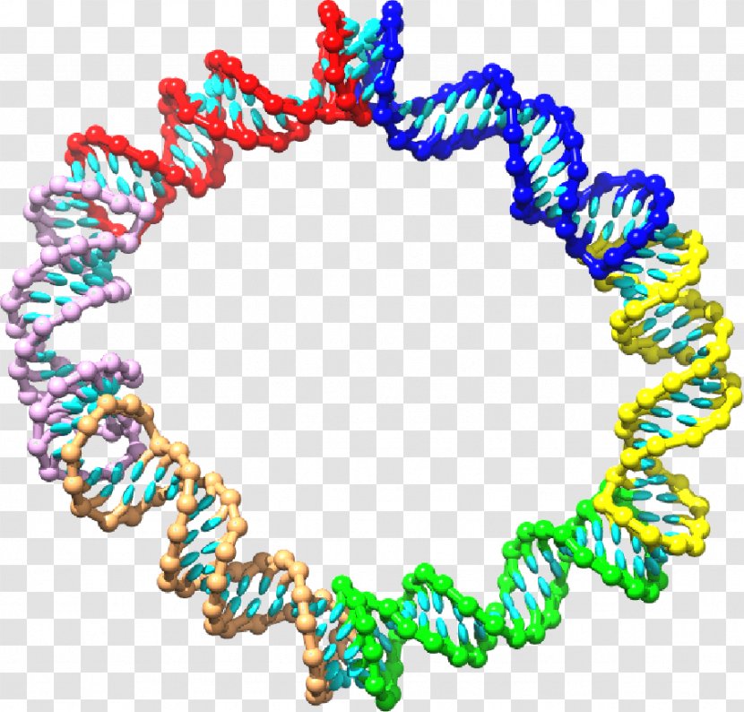 Kissing Stem-loop Nucleotide RNA Pseudoknot - Stemloop - Turquoise Transparent PNG