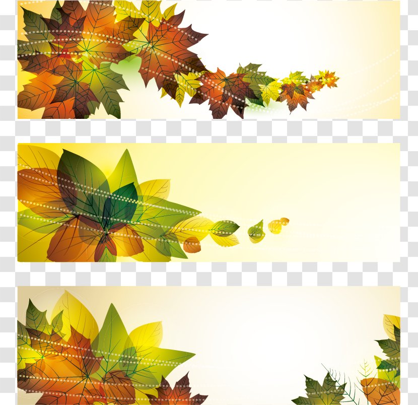 Banner Autumn Illustration - Flora - Vector Material Transparent PNG